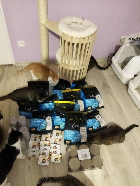 Kočičí naděje z.s.